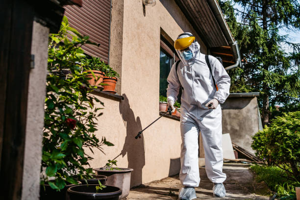 Best Pest Prevention Services  in Wauseon, OH